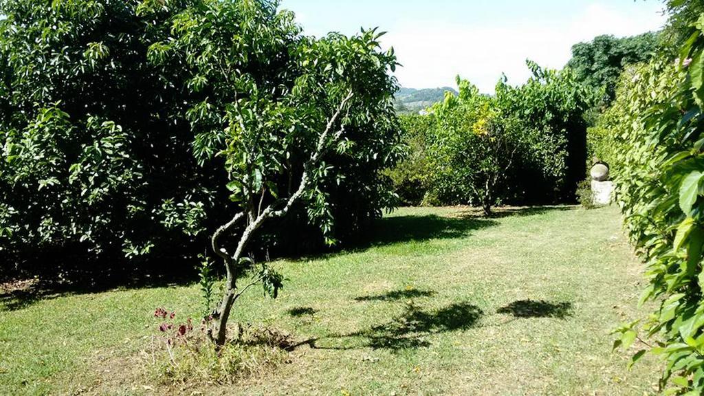 Quinta Das Bolas Villa Ponta Delgada Kültér fotó