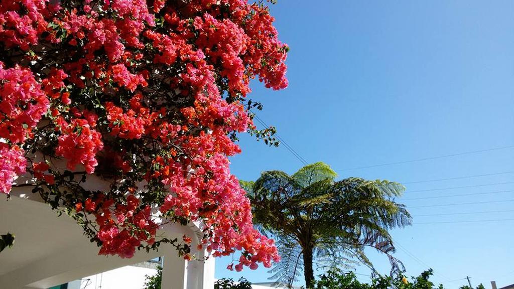 Quinta Das Bolas Villa Ponta Delgada Kültér fotó