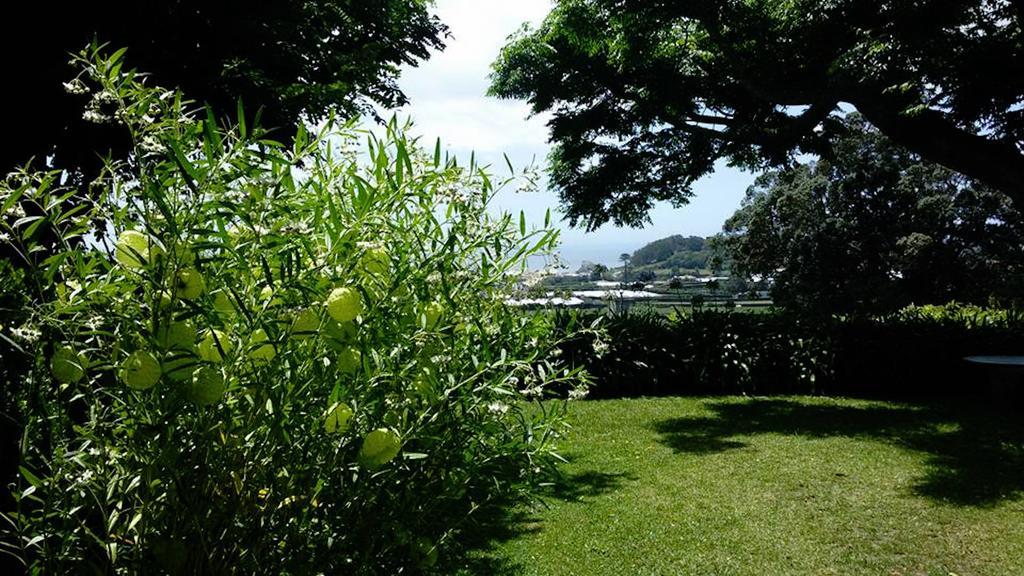 Quinta Das Bolas Villa Ponta Delgada Kültér fotó