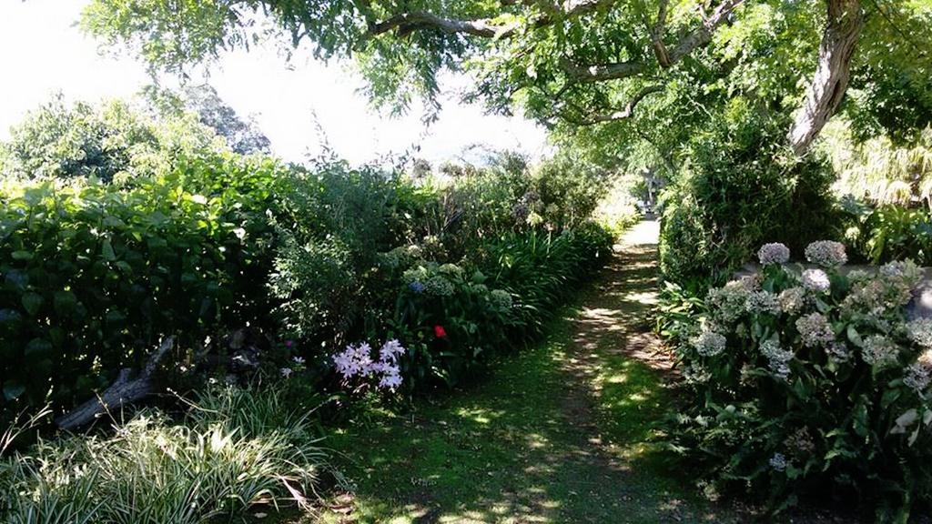 Quinta Das Bolas Villa Ponta Delgada Kültér fotó